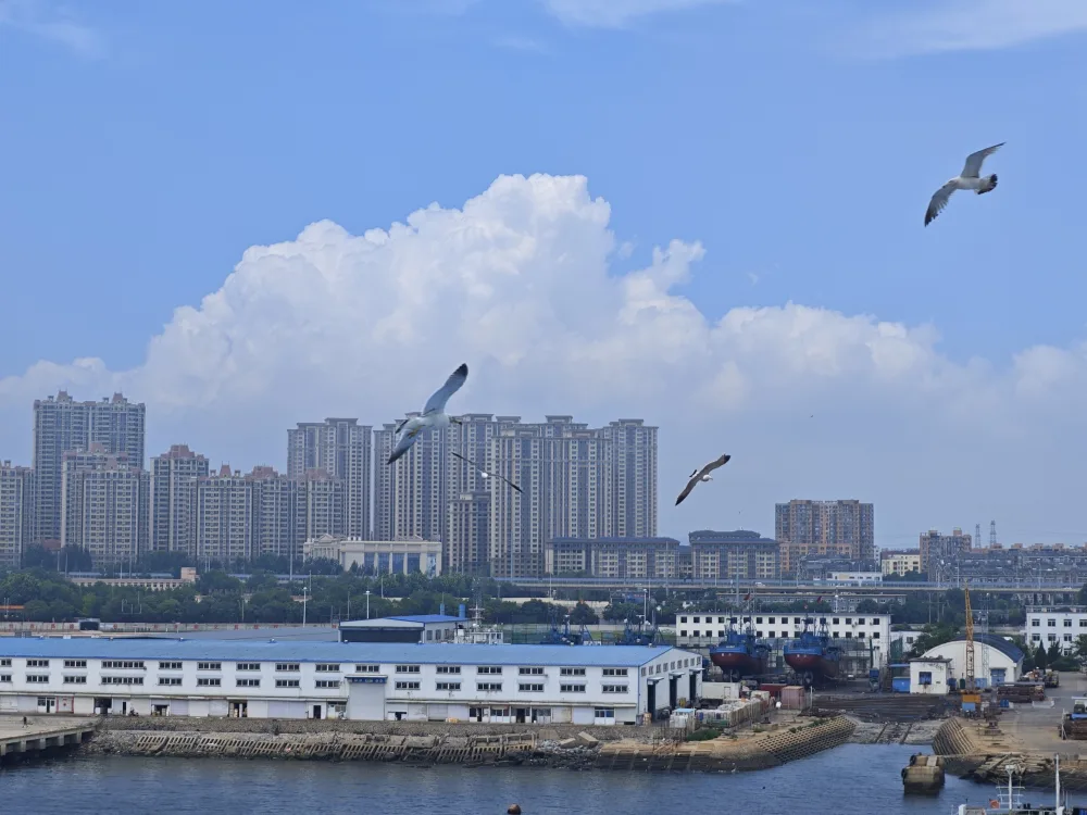 云起港城，拍摄于大连