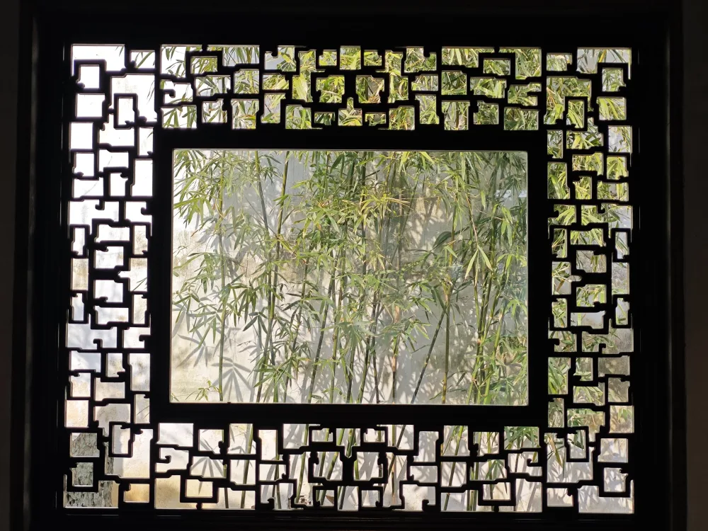 窗外修竹，拍摄于苏州